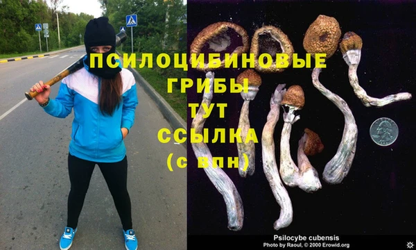 мяу мяу кристалл Вяземский