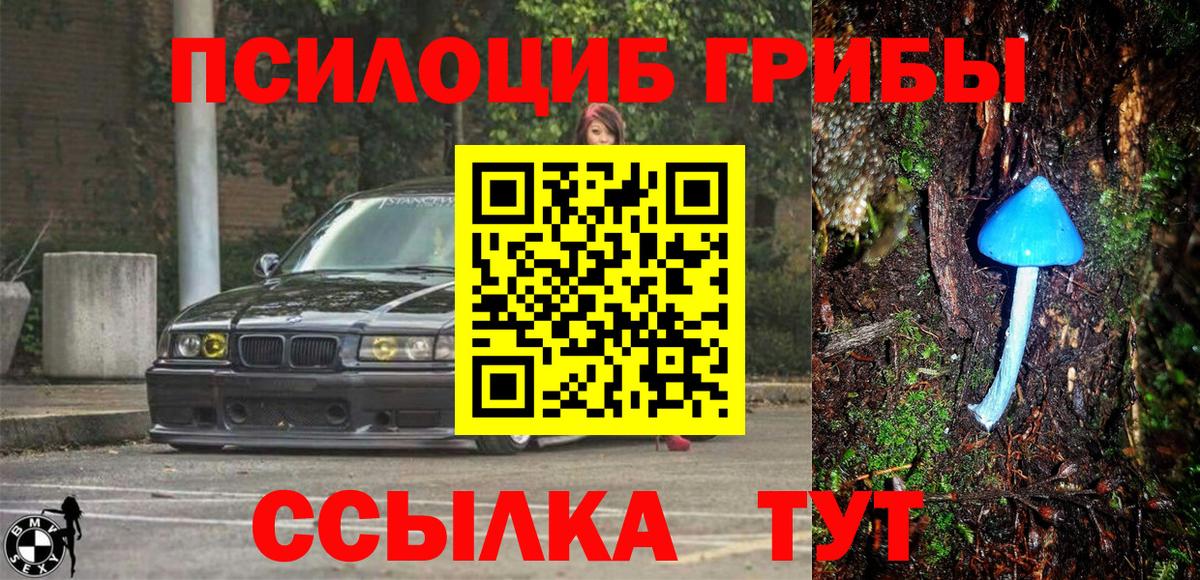 Галлюциногенные грибы MAGIC MUSHROOMS  Галлюциногенные грибы мухоморы  Звенигород  Вход с VPN 